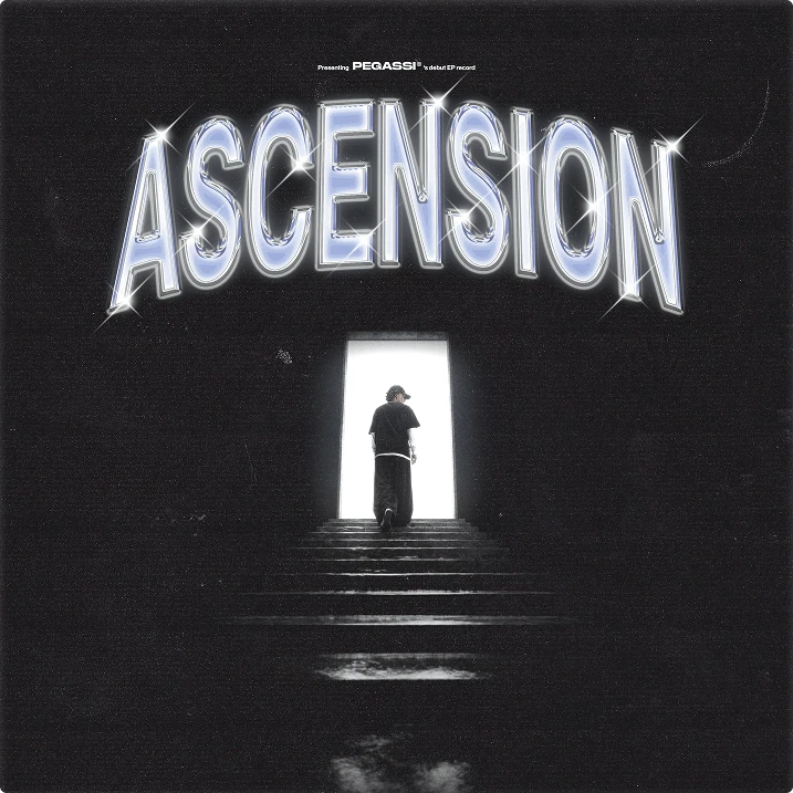 ASCENSION sleeve
